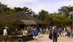 okinawa-022.jpg (17988 oCg)